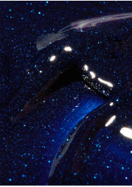 Tinseltown zimska kolekcija