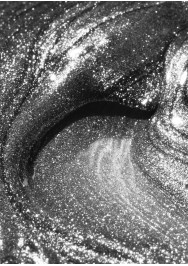 Tinseltown zimska kolekcija