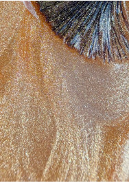 Rush Magnetic Cat-Eye