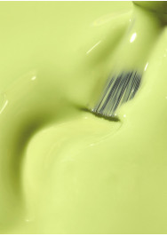 Wasabi